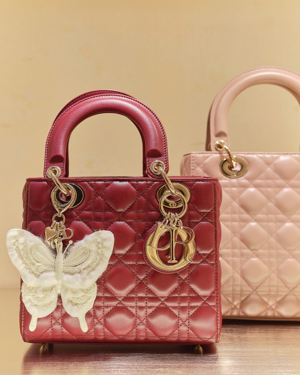 250801 PatMartin DIOR Store Vignettes 1489