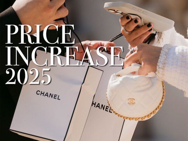Chanel Bag Price Increase 2025
