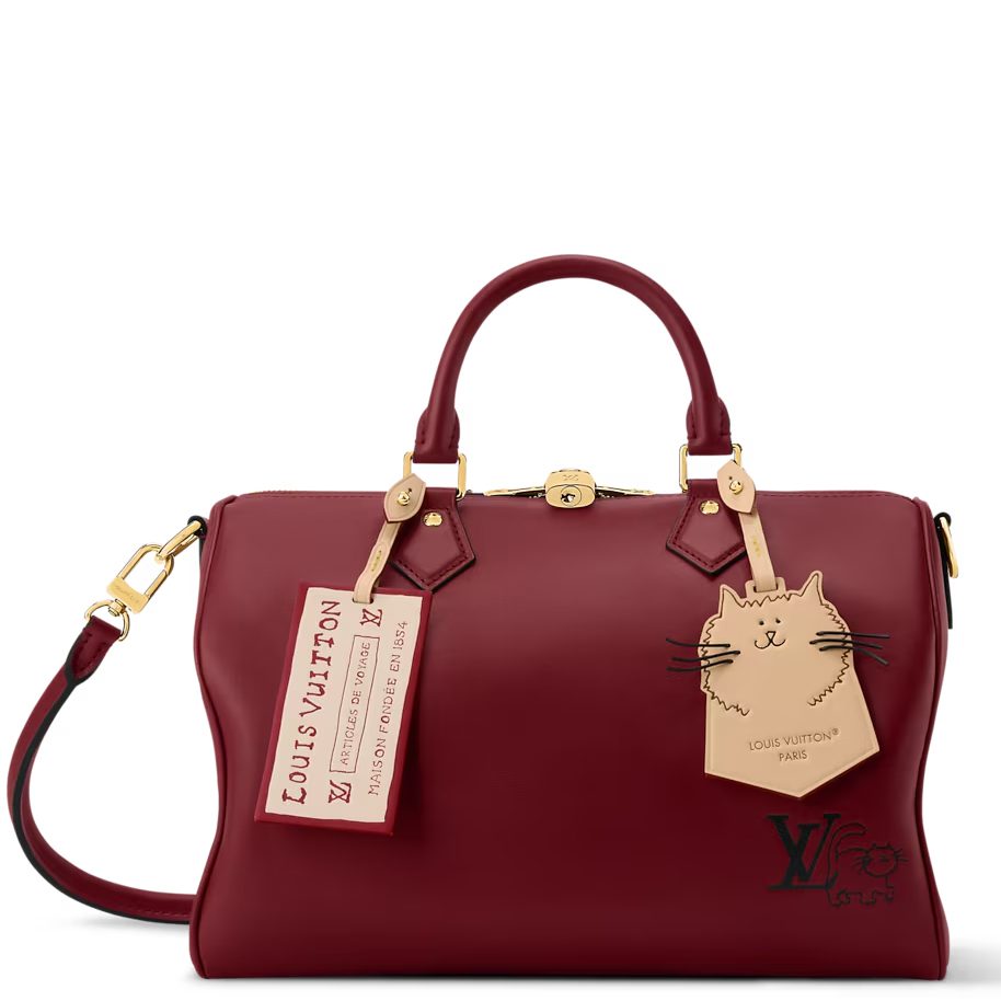 Louis Vuitton Speedy Soft