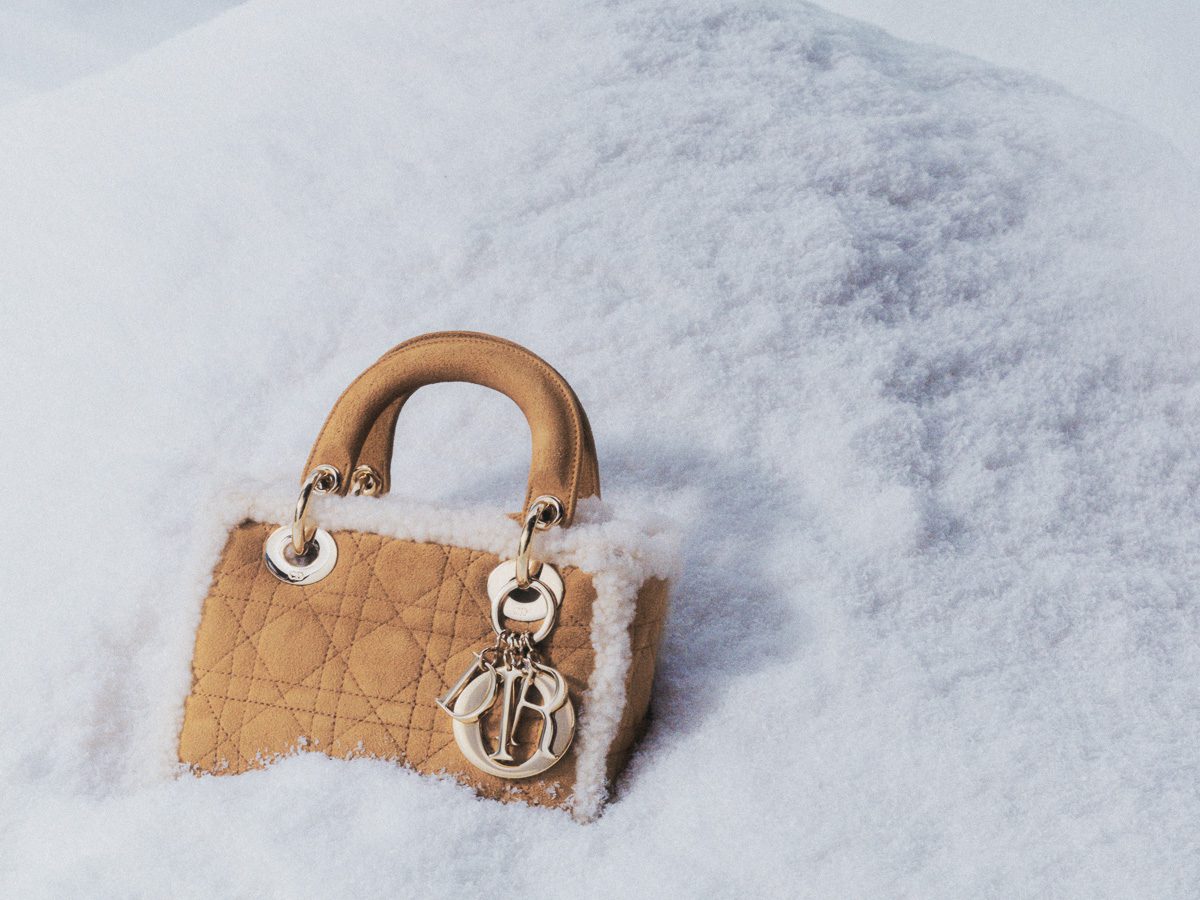 DiorAlps 2025 Capsule Collection2