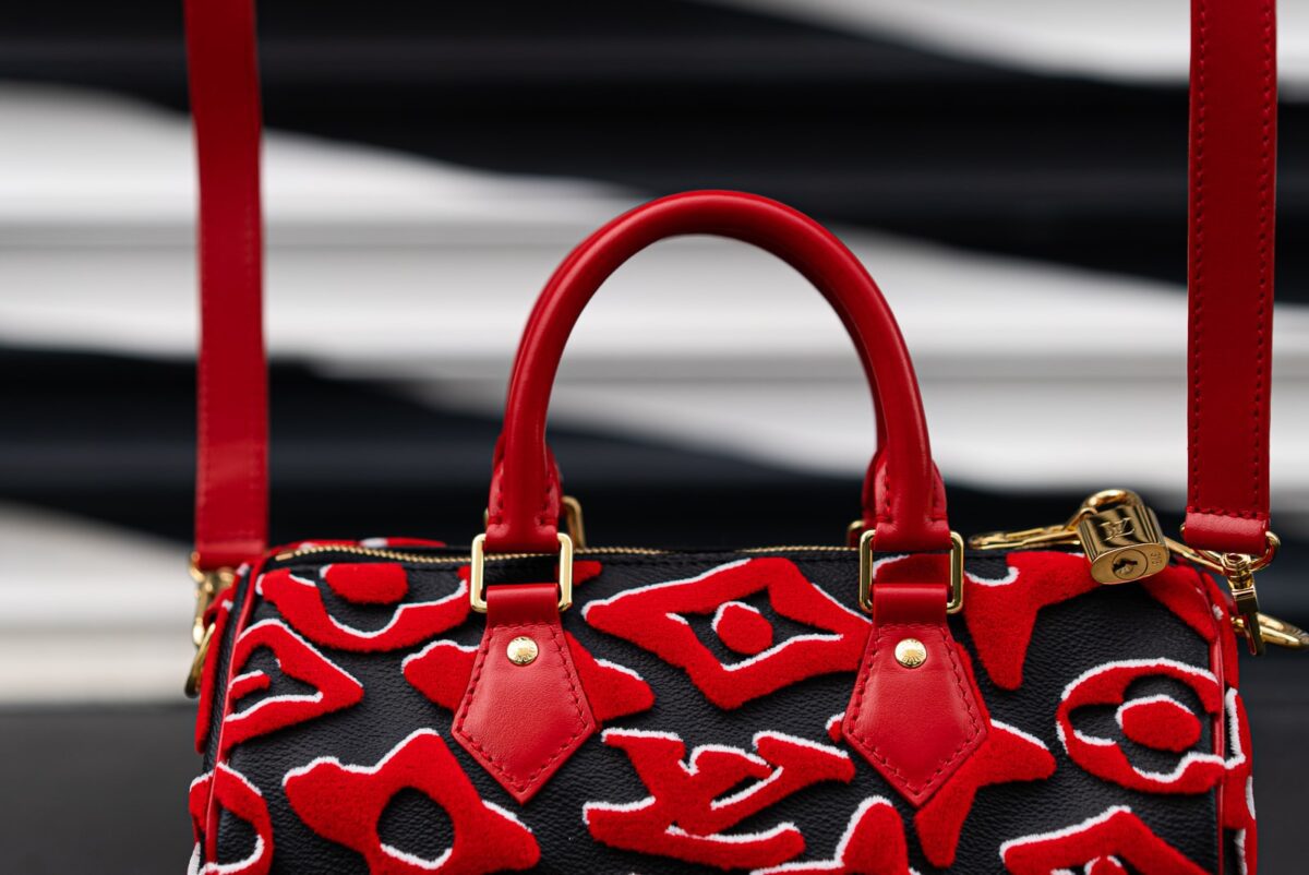 Louis Vuitton Urs Fischer Bags 3