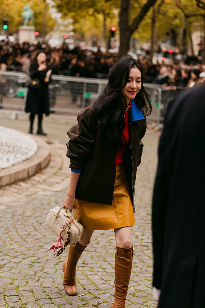 Miu Miu Street Style Bags Spring 2026 3