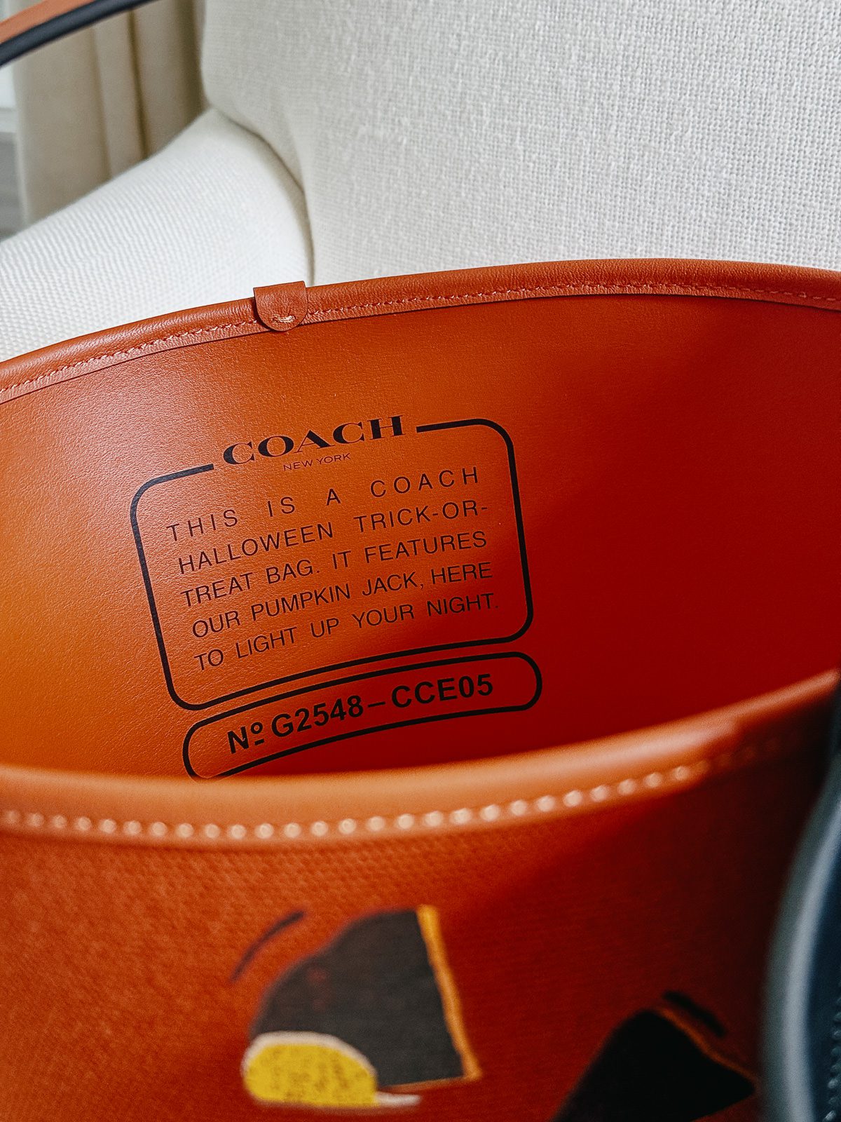 Coach Halloween Buckets (2 of 4)