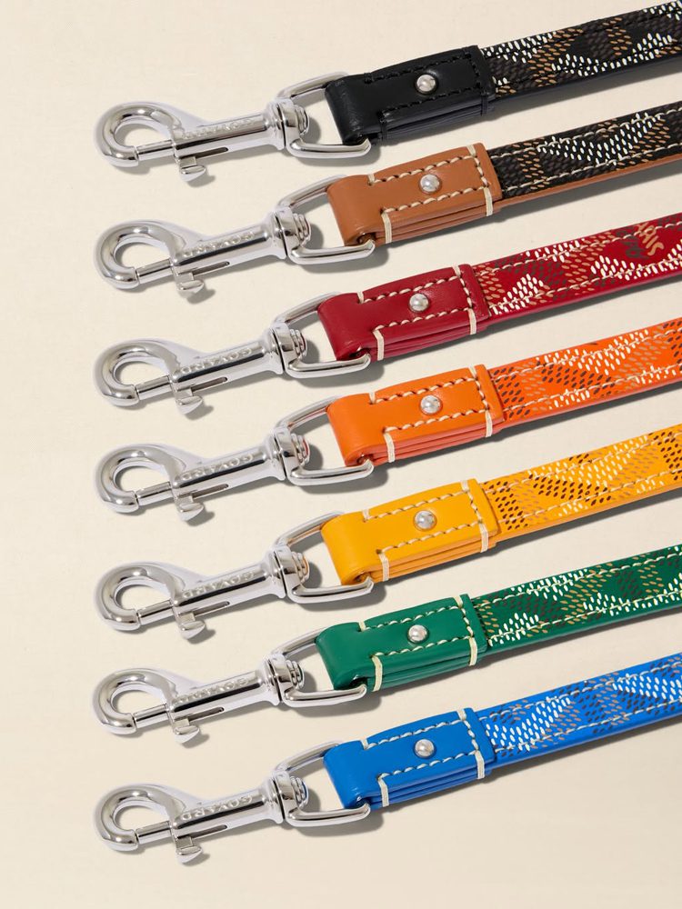 Goyard Pet Leash