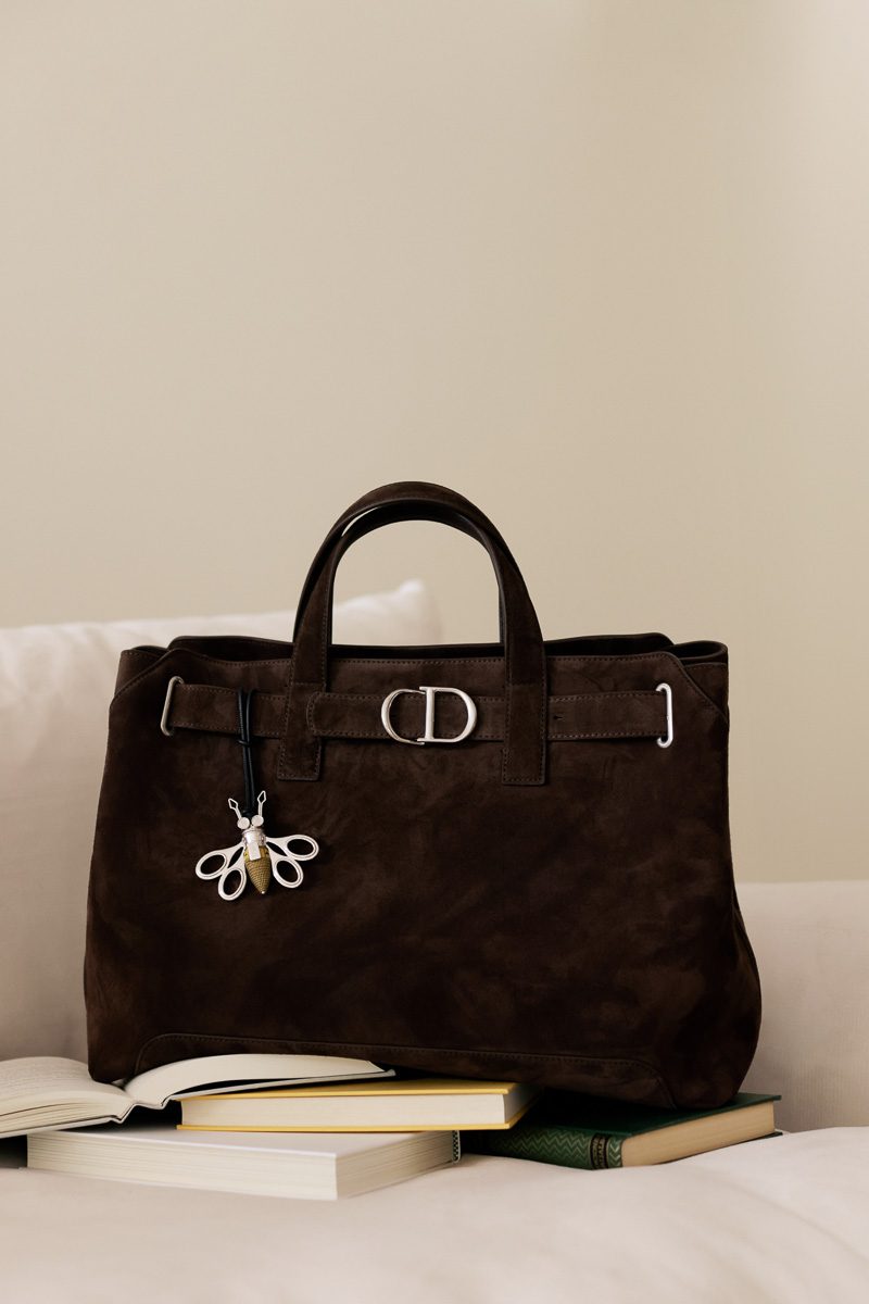 Dior Normandie tote bag 1