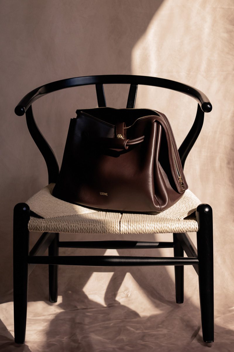 Loewe Medium Madrid bag