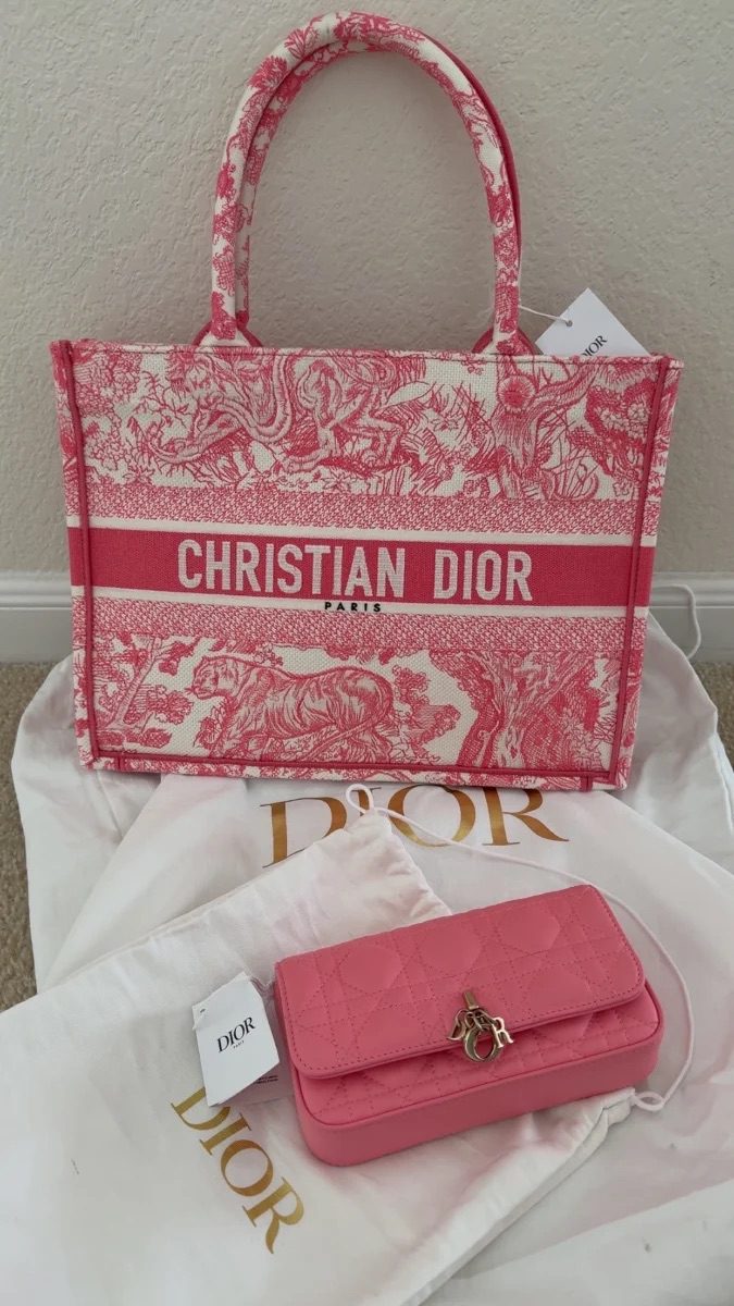 Dior Book Tote