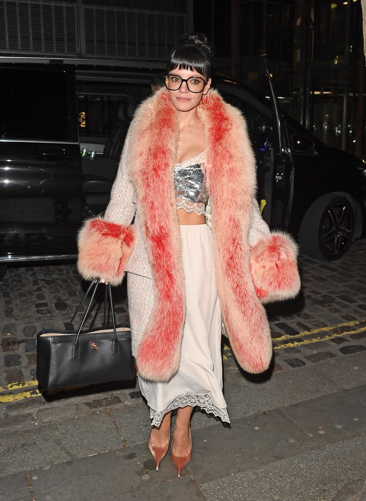 Celebrity Handbags 5