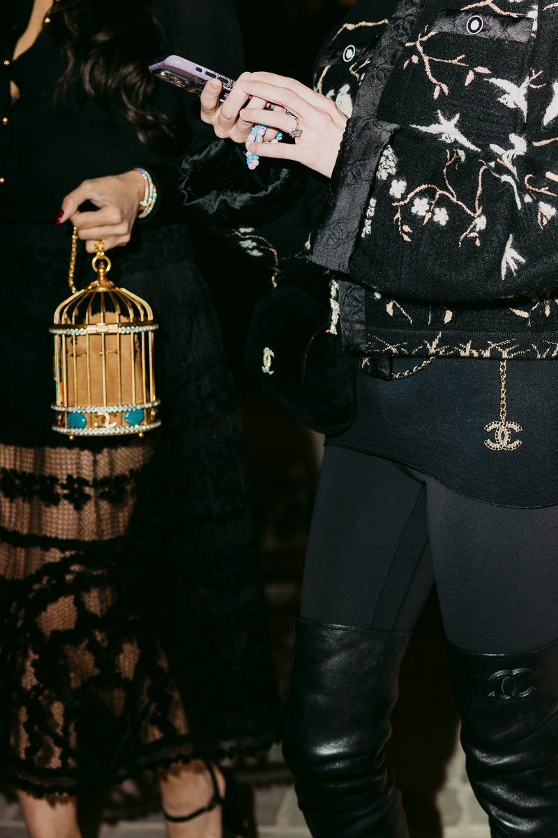 Chanel Metal Crystal Enamel CC Love Bird Cage Minaudie?re Clutch Chanel Metal Crystal Enamel CC Love Bird Cage Minaudiere Clutch