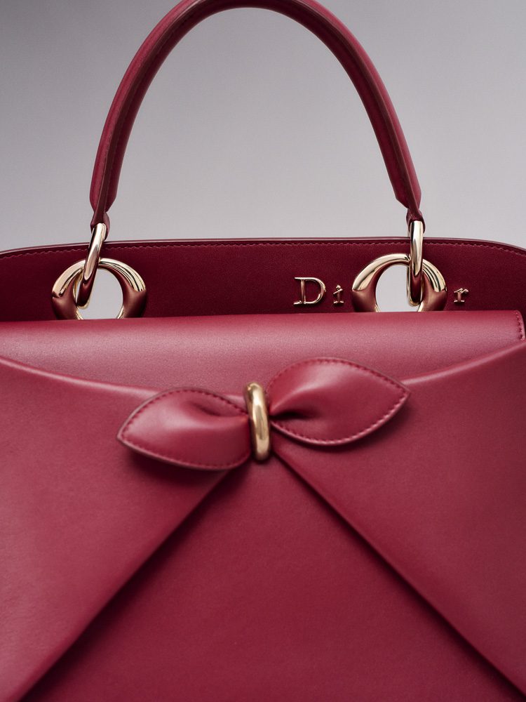 Dior Cigale Bag 4 Dior Cigale Bag 4