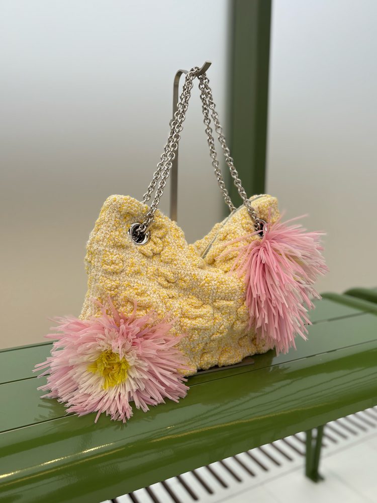 Dior FW26 Crunchy Bag