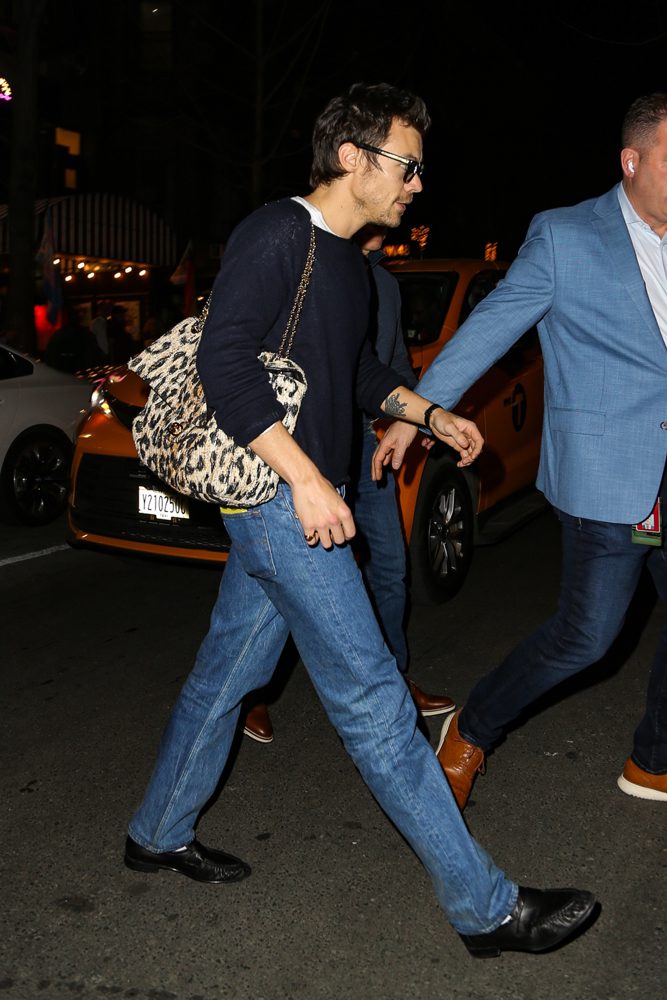 Harry Styles Chanel Leopard Flap Bag
