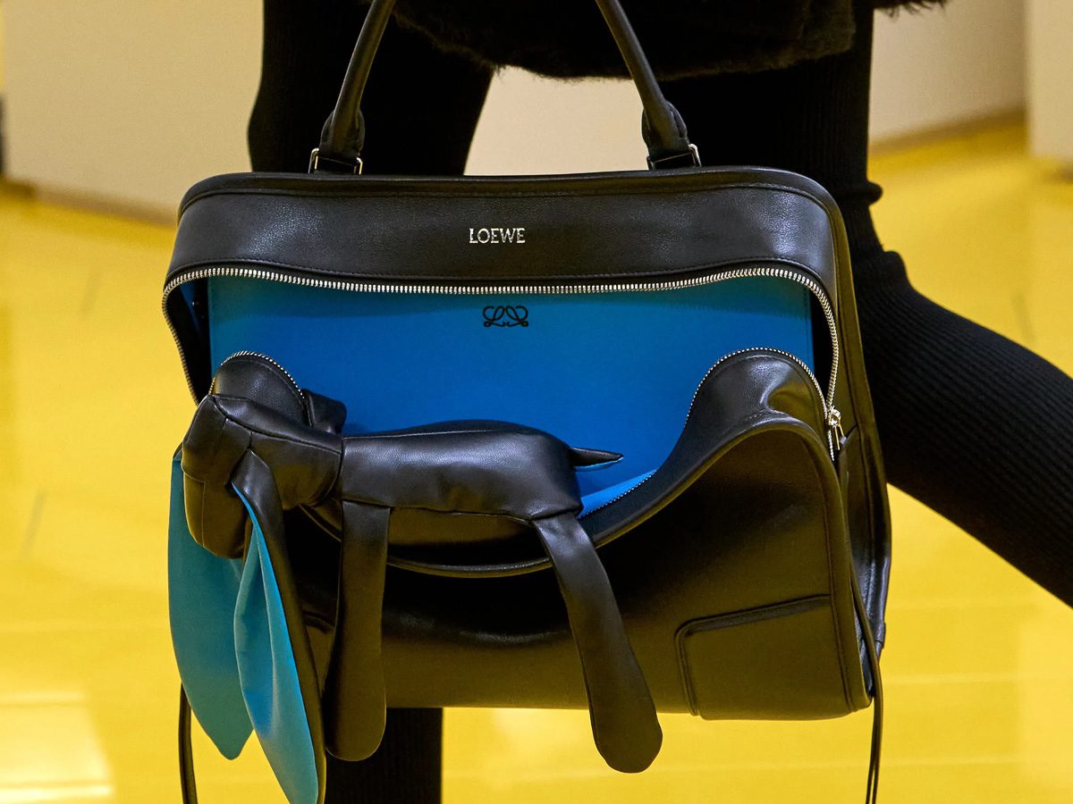 Loewe バッグ　レア クラフトとアートがモダンに交差するロエベ──2026年春、バッグと財布