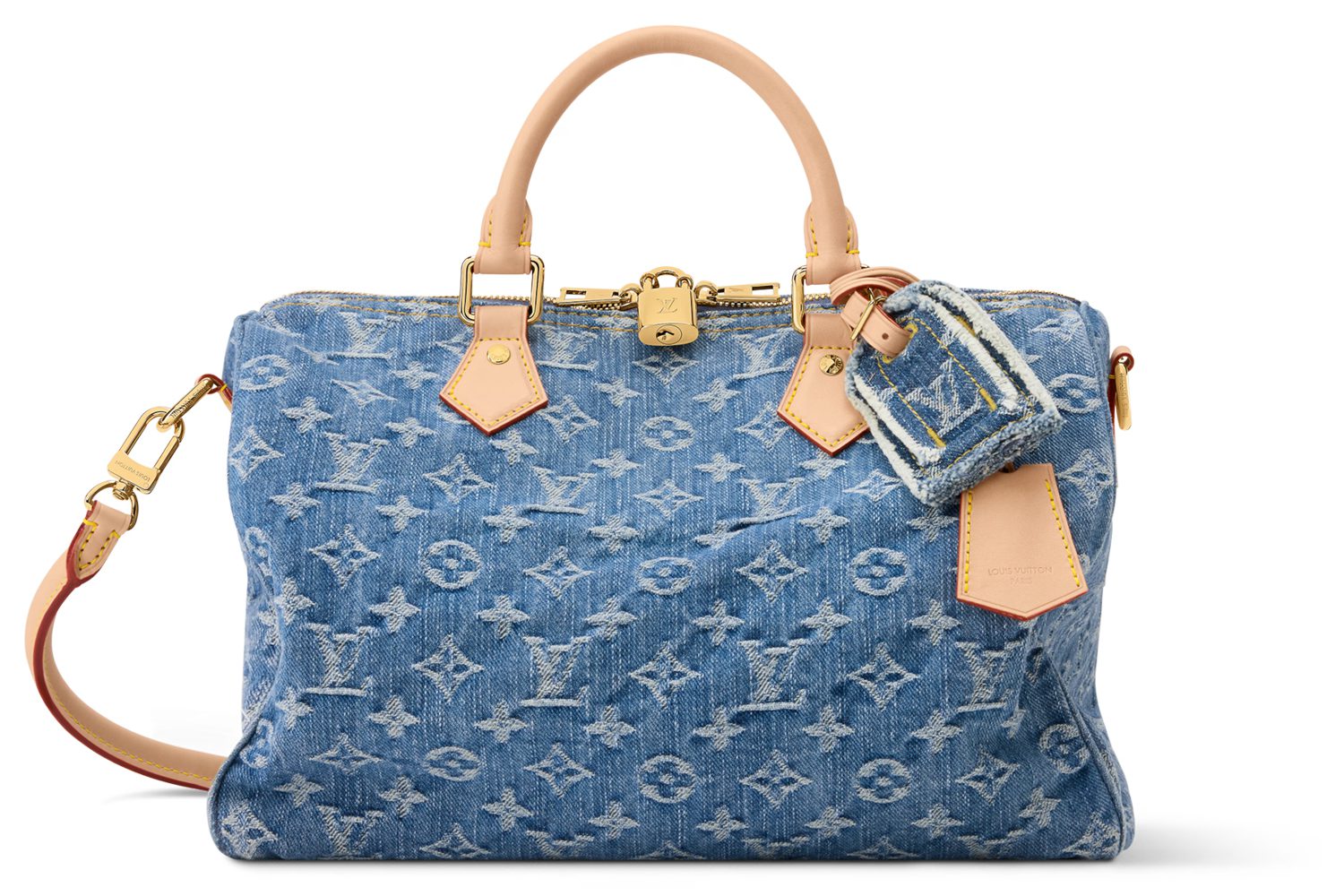 Louis Vuitton Speedy Soft