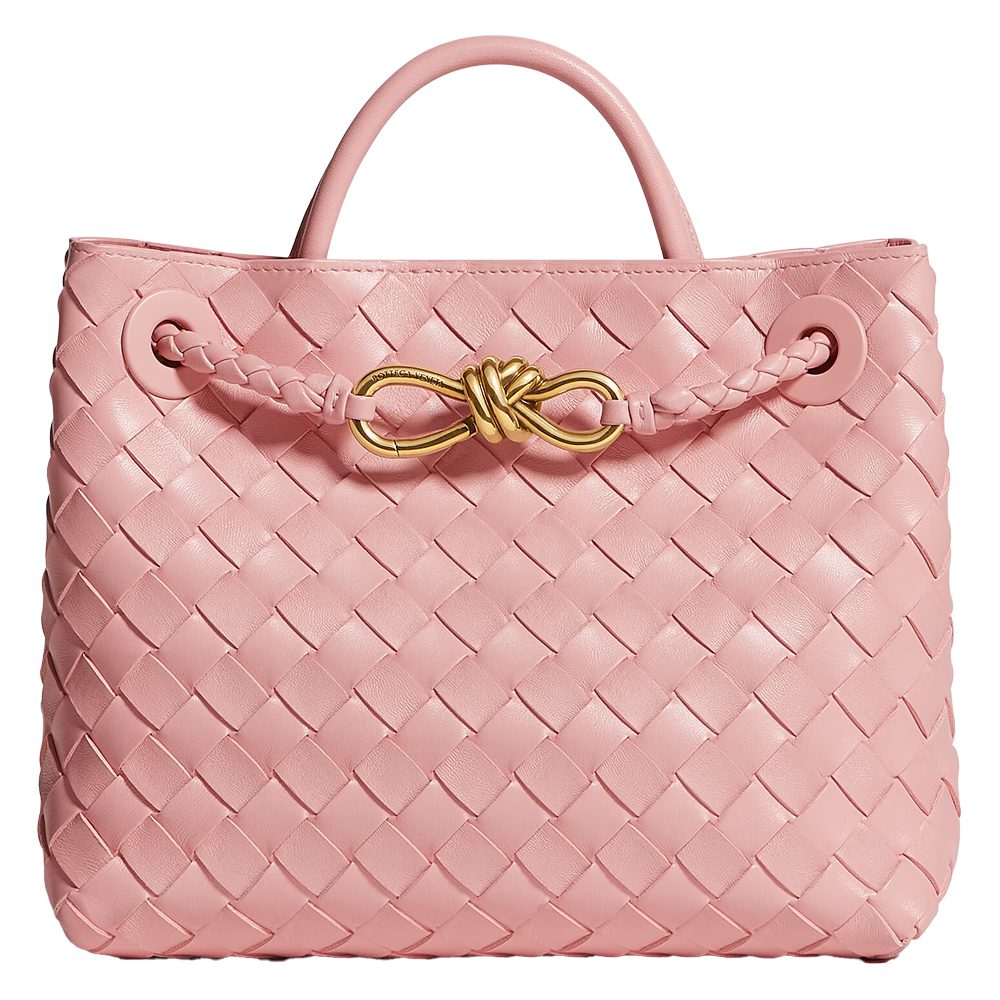 Bottega Veneta Andiamo Bag
