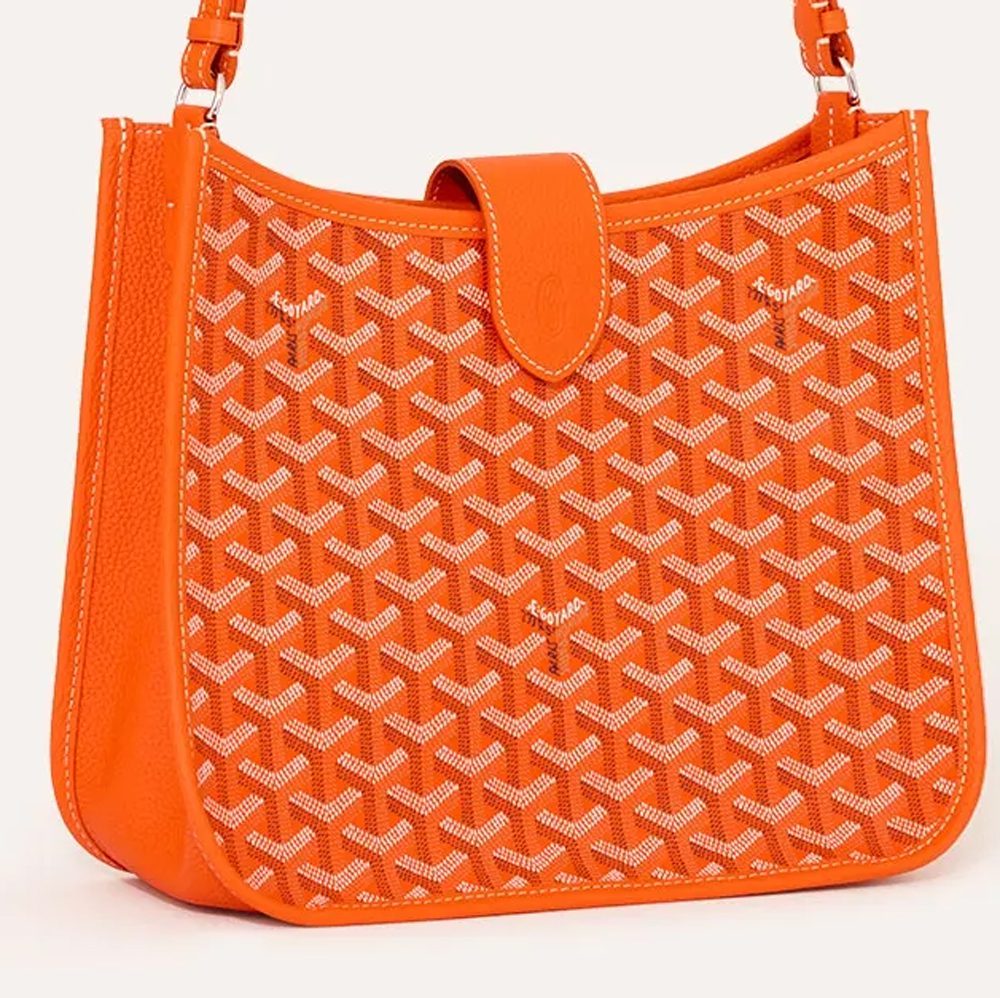 Goyard Musette Bag in Orange Goyard Musette Bag in Orange
