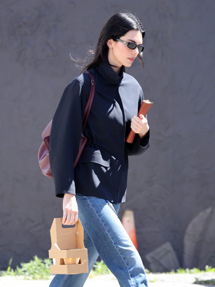 Kendall Jenner Chanel Maxi Flap