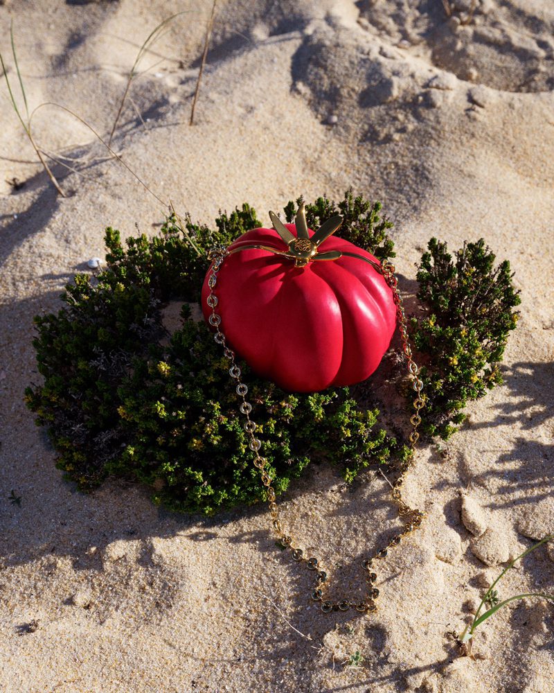Loewe Tomato Clutch