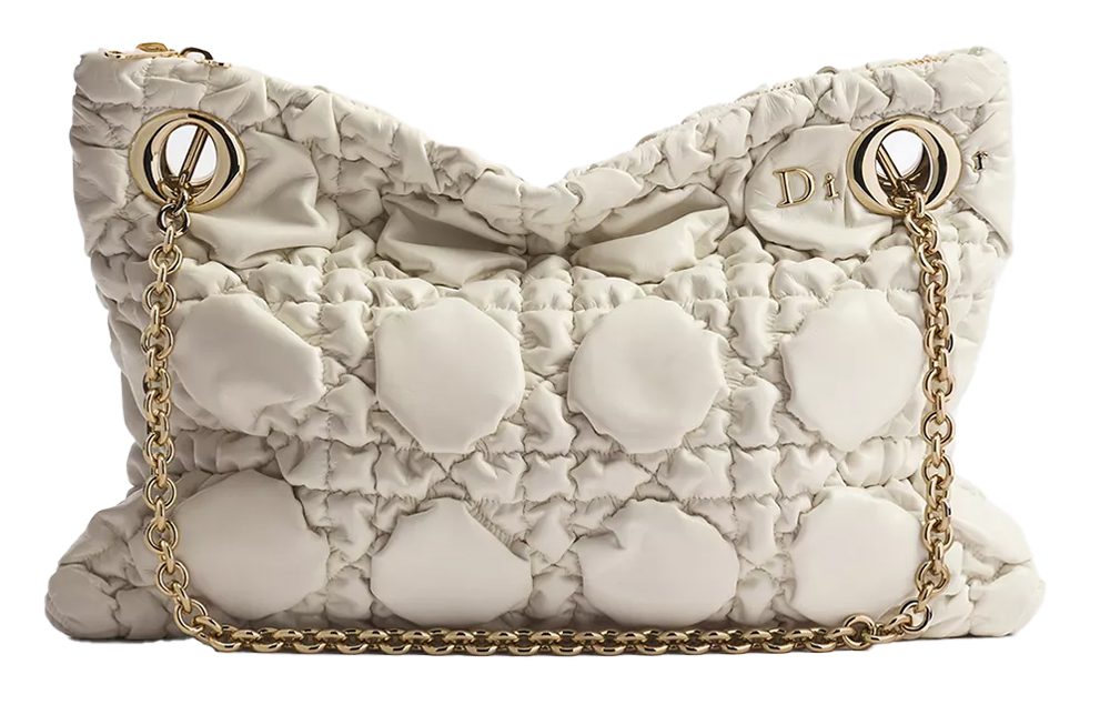 Dior Crunchy Bag
