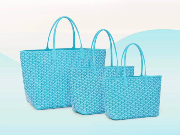 Goyard Into the Blue 3