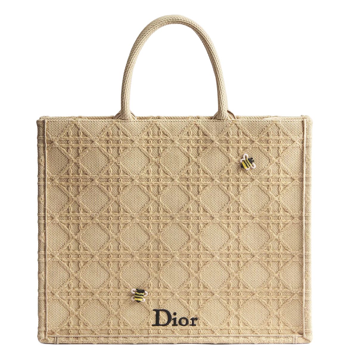 Large Dior Book Tote