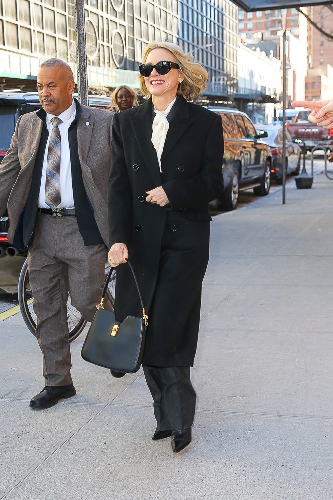 The Many Bags of Naomi Watts 10
