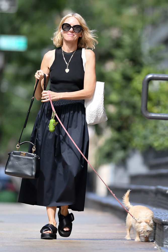 The Many Bags of Naomi Watts 4