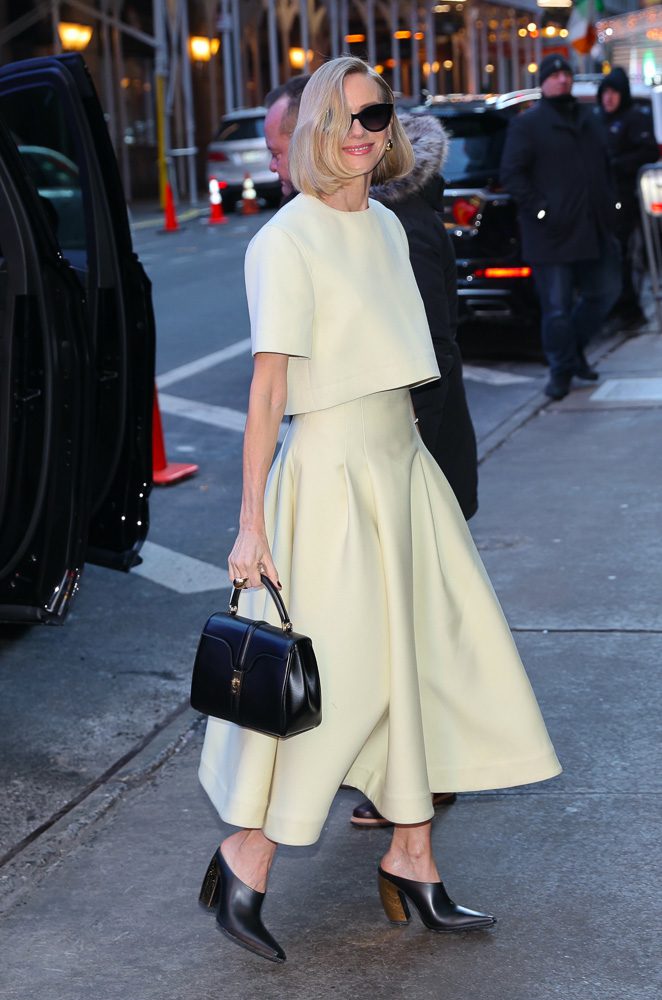 The Many Bags of Naomi Watts 6