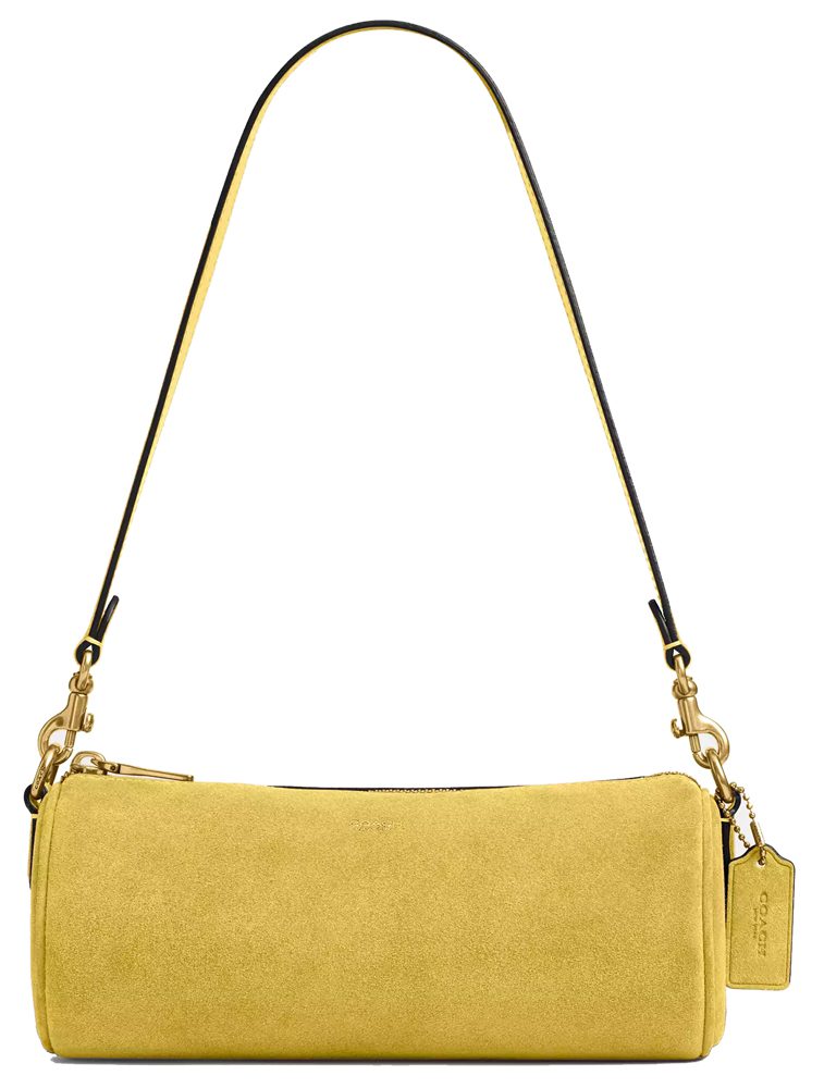 Chartreuse Coach Bible Bag