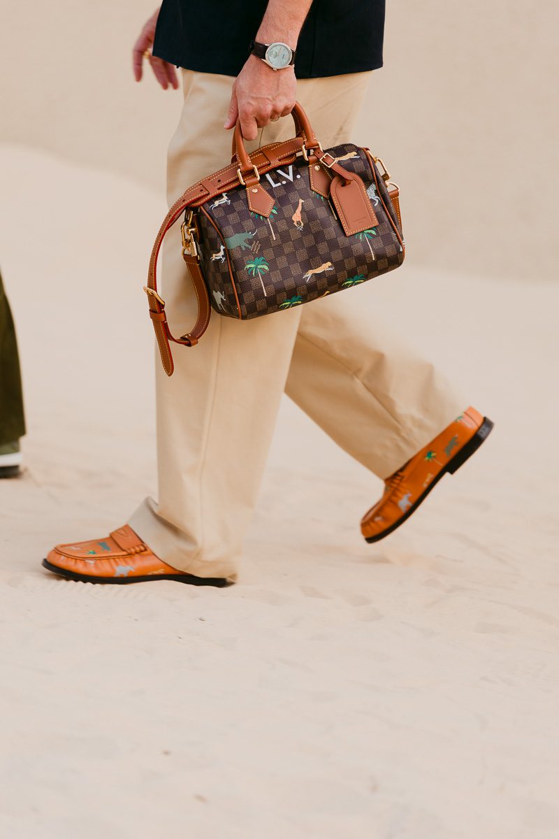 Louis Vuitton Mens Show Speedy 25 Bandoulie?re x The Darjeeling Limited