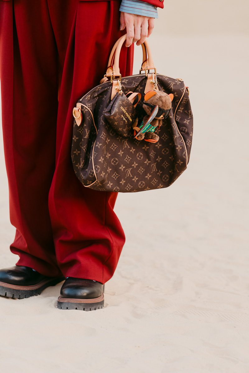 Louis Vuitton Mens Show. Speedy Soft 30 Boho bag