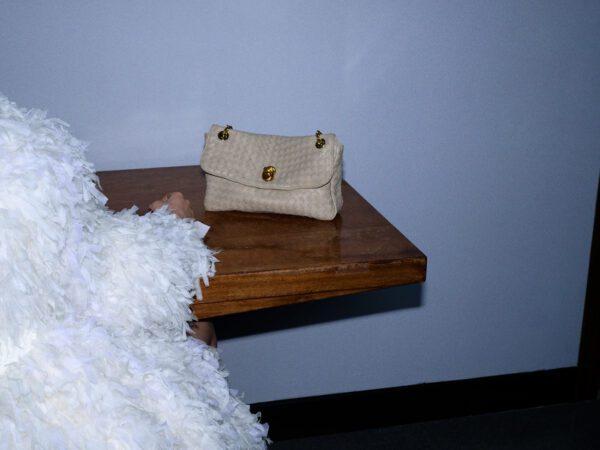 Bottega Veneta Best Bag to Invest