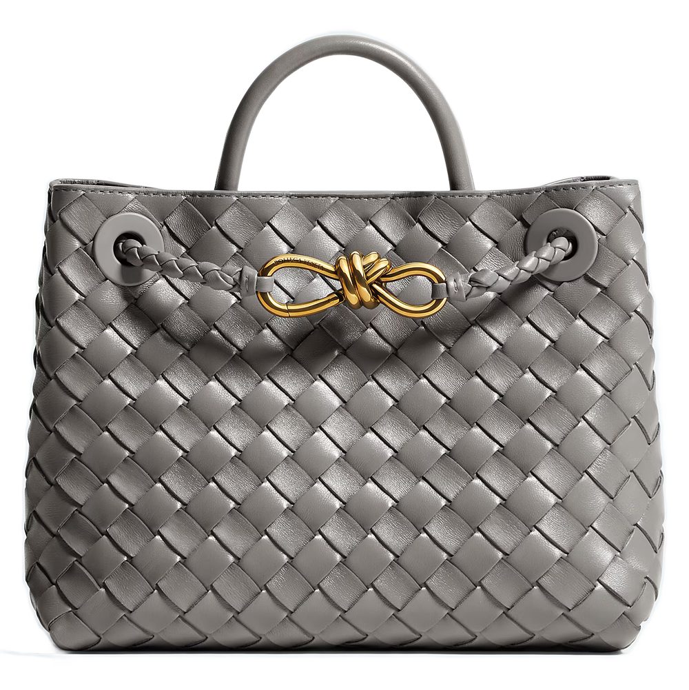 Bottega Venete Andiamo