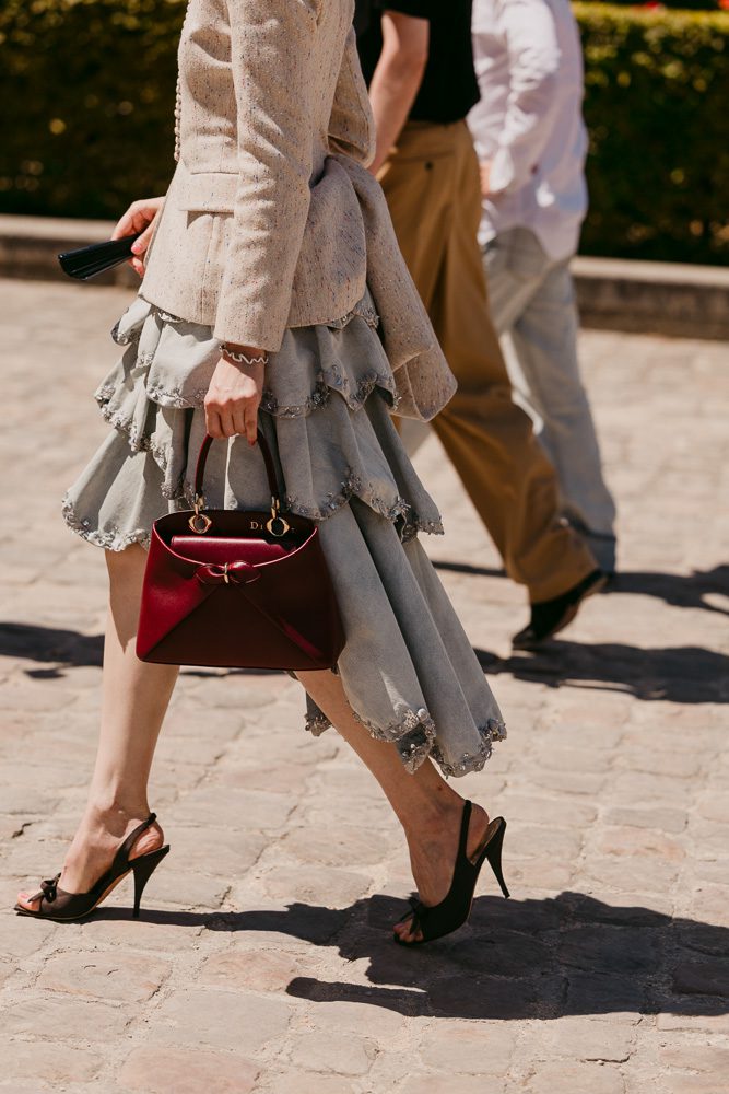 Dior Fashion Week Bags 5