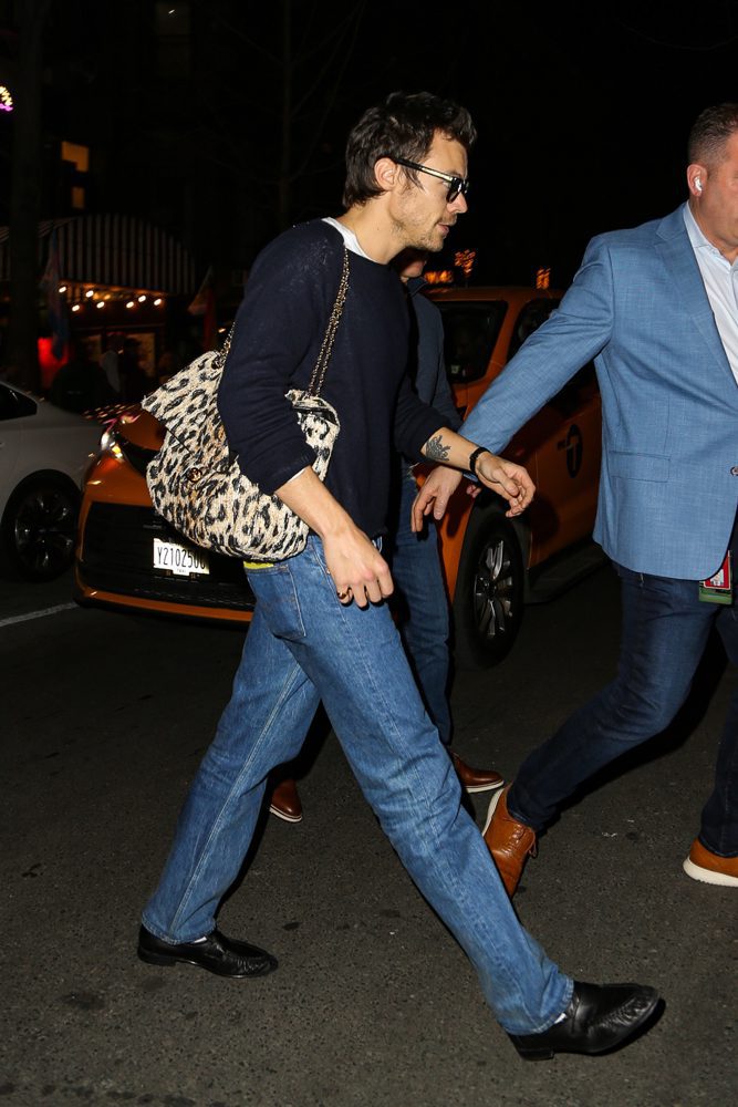 Is Chanel the Hottest Menswear Label Now? 14 Harry Styles Chanel Leopard Flap Bag