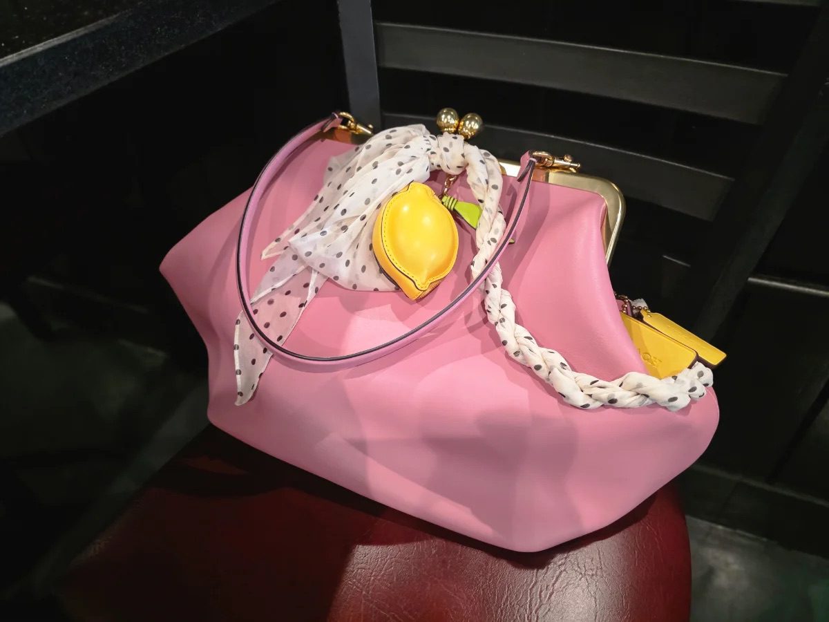 Coach Large Kisslock Frame Bag