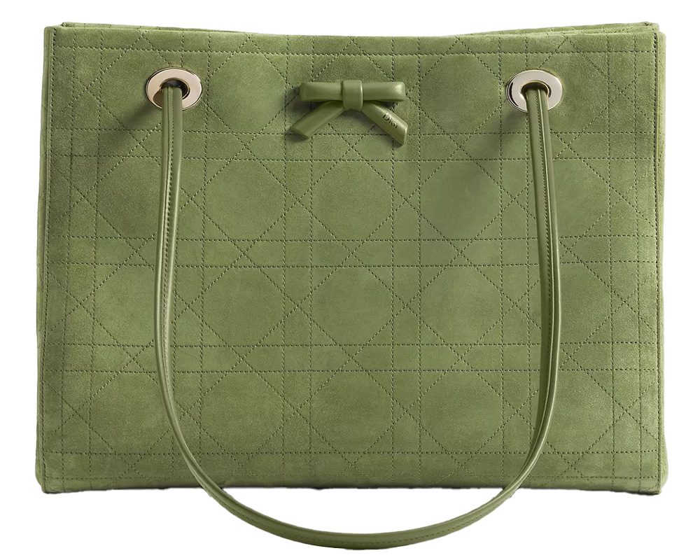 Dior Promenade Suede Tote