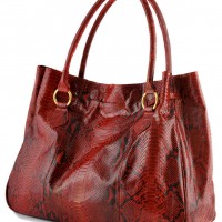 D'Angel Tia Tote