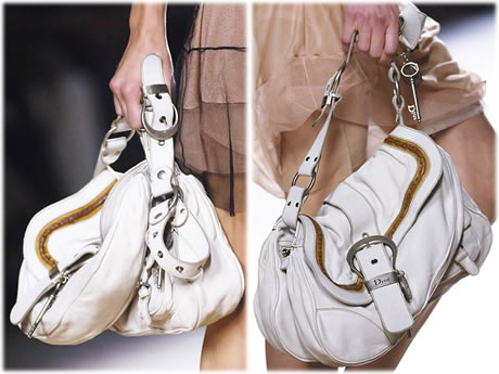 Dior runway bag online