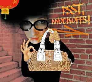 In The News A Miamian Hunts Knock Off Purses New York Purseblog Fake Handbags Jpg