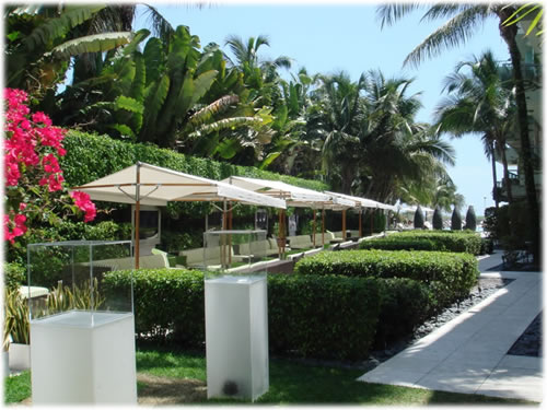 garden.jpg
