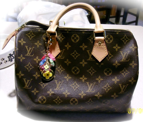 Speedy 25 with twilly and charm  Scarf on bag, Louis vuitton