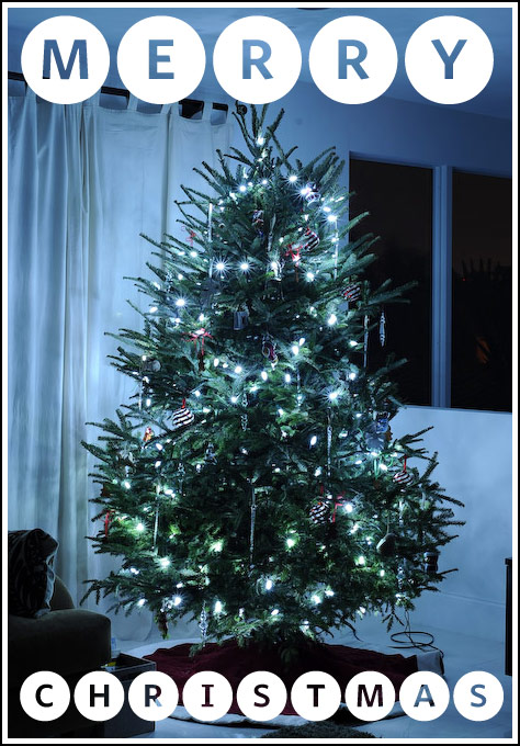 Merry Christmas