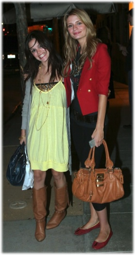 Name Mischa Barton & Rachel Bilson's Bags! - PurseBlog