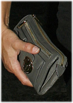 Wallets Used By Celebrities