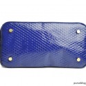 Rebecca Minkoff Morning After Mini in Navy Luxe Combo