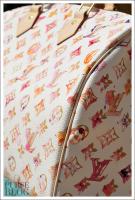 Louis Vuitton Watercolor Speedy 35