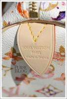 Louis Vuitton Watercolor Speedy 35